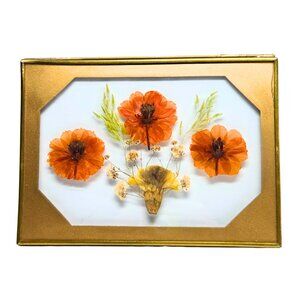 Vintage Dried & Pressed Flowers In Frosted Glass Frame 5" X 7"